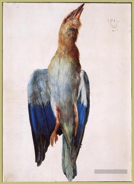  durer - Dead Bluebird Albrecht Dürer
